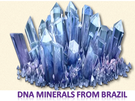 DNA MINERALS FROM BRAZIL