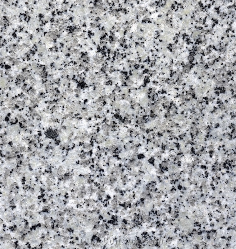 Bianco Montorfano Granite Blocks, Italy White Granite