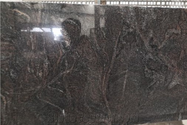 Galattica Purple Granite Slabs