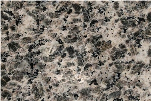 Leopard Skin Miyi Granite Slabs