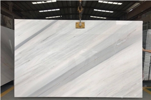 Palissandro White Marble White