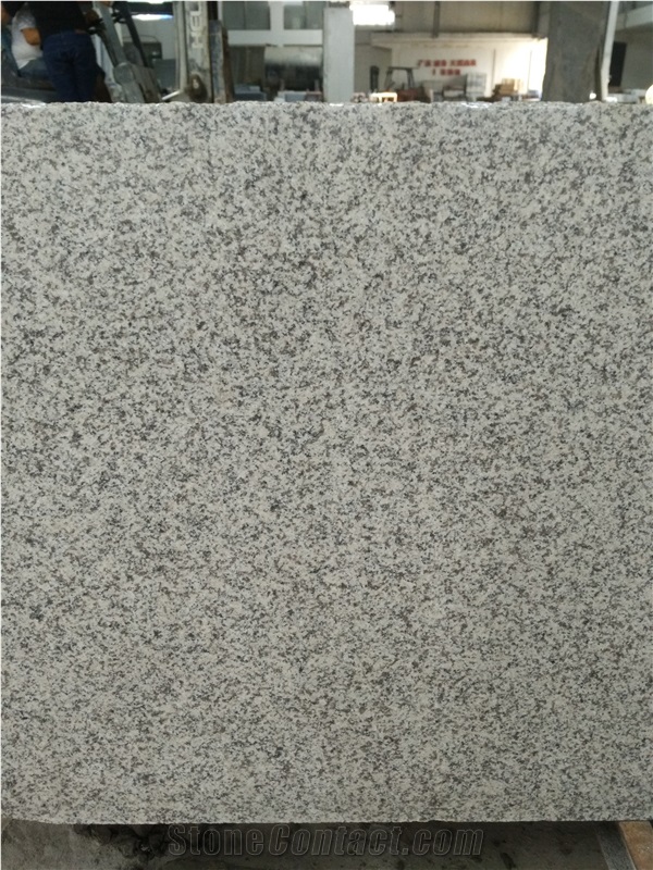 Cheap G655 White Natural Stone Granite Slabs