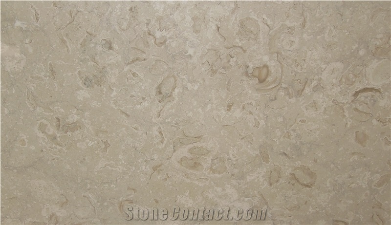 Shell Stone Slabs, Shellstone Tiles