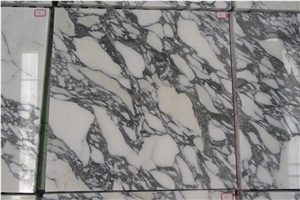 Italy Arabescato White Marble Floor Wall Tiles