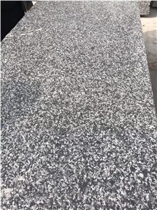New G654 Dark Granite Tiles for Flooring / Walling