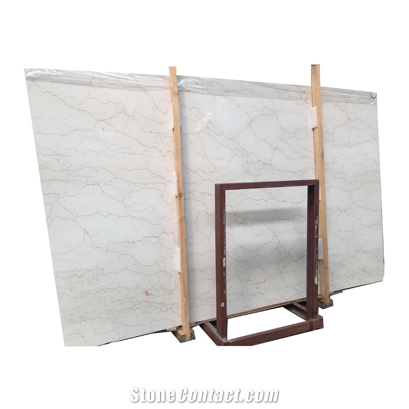Cheap Natural Iranian Stone Shell Beige Marble