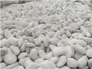 Wholesale Natural White Pebble Stone