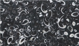 Black Fossil Marble Polished Flamed Tiles Slabs