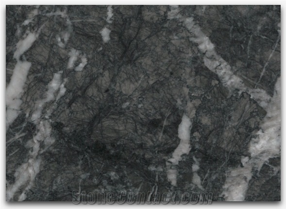 Black Grigio Carnico Marble Tiles Slabs Stone Wall