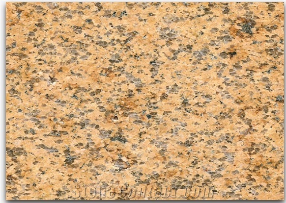 Desert Gold Granite Tiles Slabs Stone Wall Floor