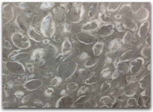Grey Buttlefly Luxurious Marble Slabs Tiles Floor