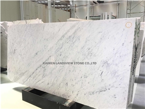 Carrara White Marble Wall Decoration