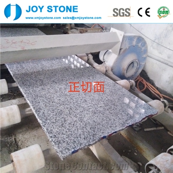 Cheap Price China White Granite G603 Slab for Sale