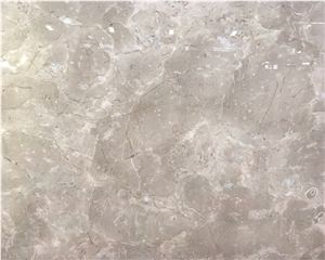 Iran Bosi Grey Marble Slabs for House Design Price