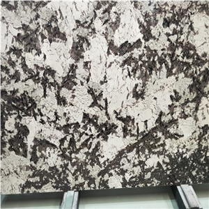 Natural Delicatus Stone Slabs for House Design