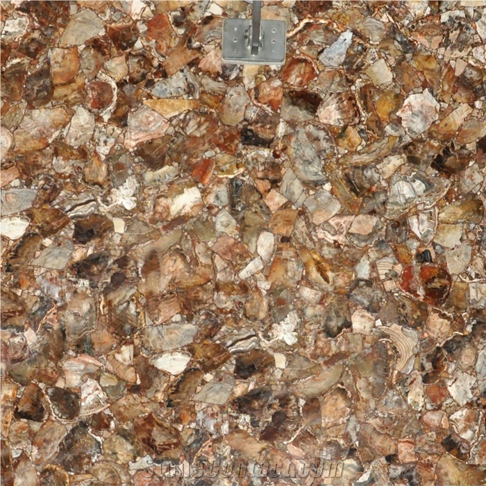 Wholesale Petrified Wood Stone Floor Tile