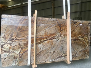 India Rain Forest Brown Marble Slab Tile Price