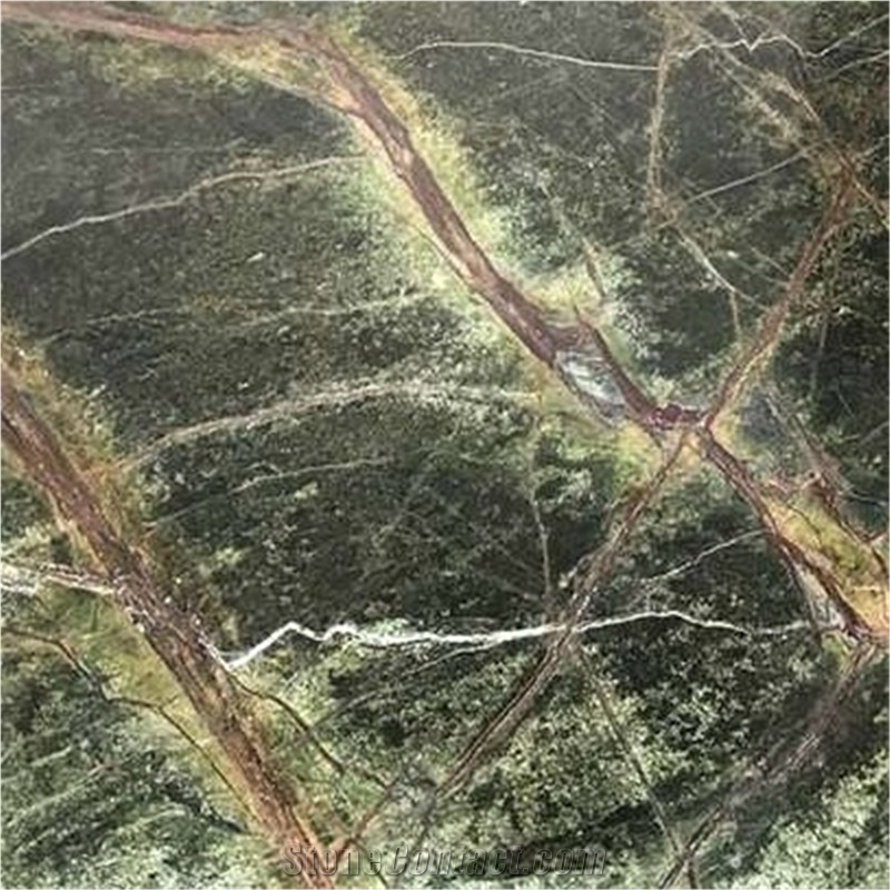 Indian Rainforest Green Marble Slab Tile Price