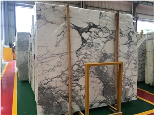Italy Arabescato Cervaiole White Marble Slab Price
