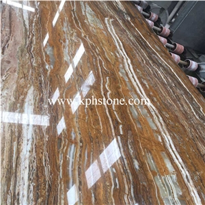 Black Fossil Onyx Slabs for Background