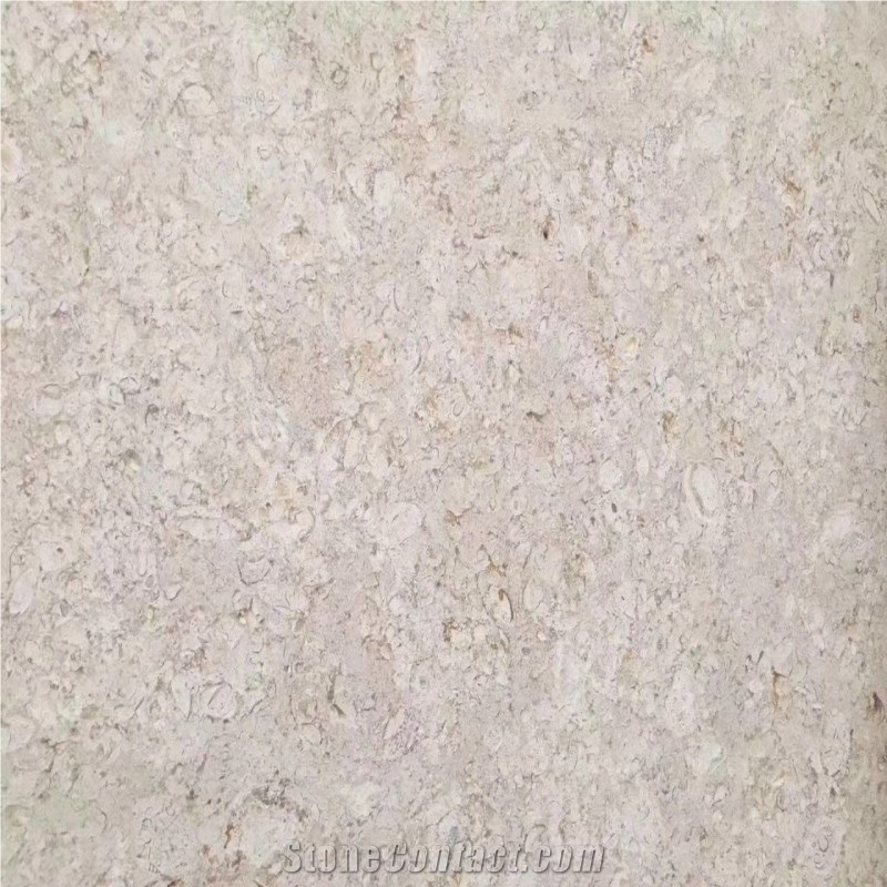 Golden Shell Marble Tiles Decorative Wall Pannels
