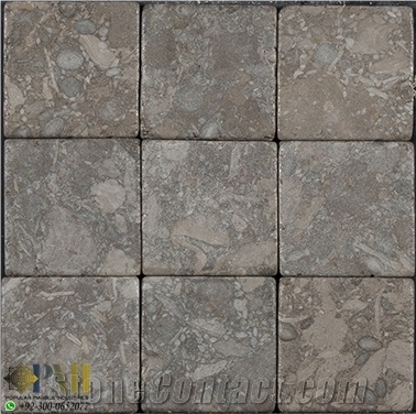 Fossil Gray Marble for Flooring