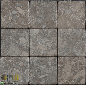 Fossil Gray Marble for Flooring