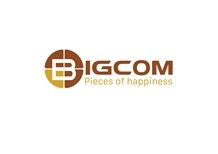 Viet Nam Bigcom Company