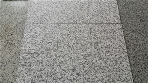 Chinese Bianco Sardo Granite Tiles