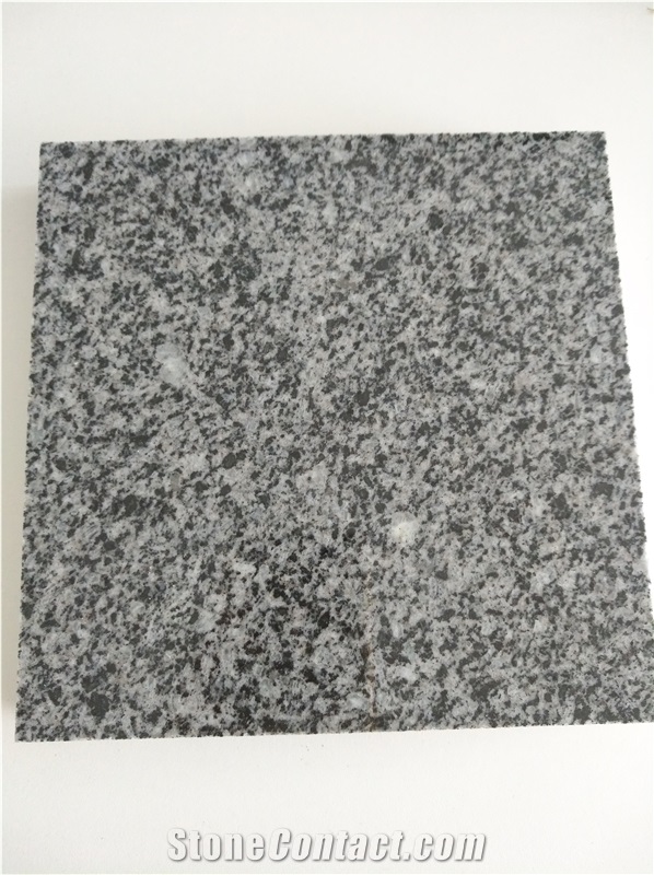 New Padang Dark G654 Granite Slab Granite Tile