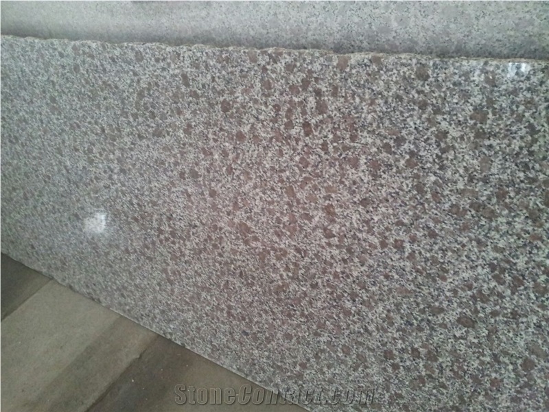 Pc Violet Granite Slab- Viet Nam