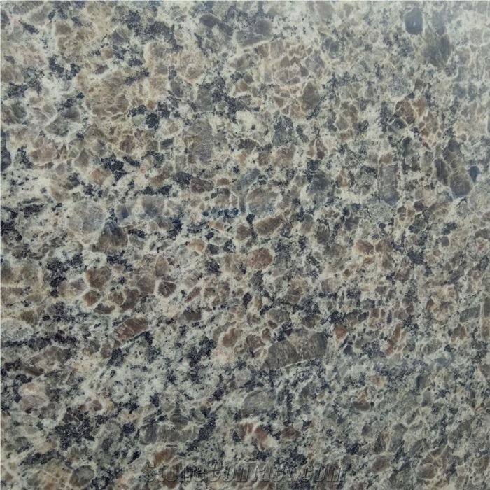 Caledonia Granite Tiles for Customized Countertop