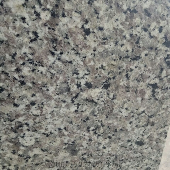 Factory Swan White Granite Tiles for Indoor Design