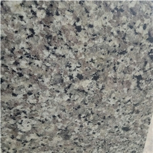 Factory Swan White Granite Tiles for Indoor Design
