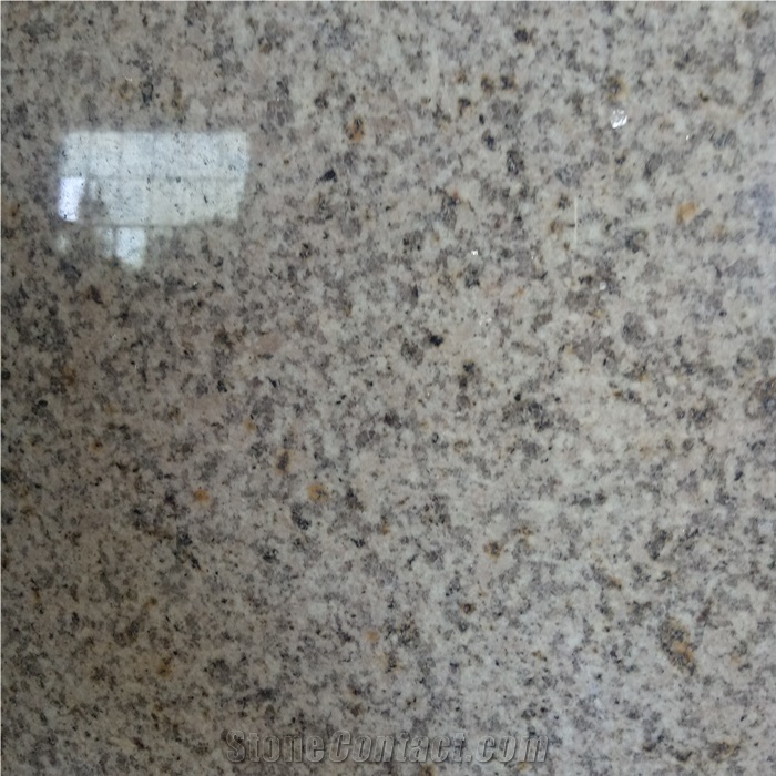 Polished G682 Sesame Granite Counter Tops