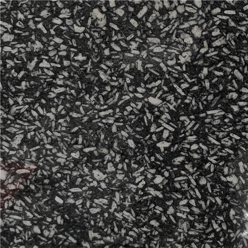Cheap Black Granite with White Spots Tiles Price