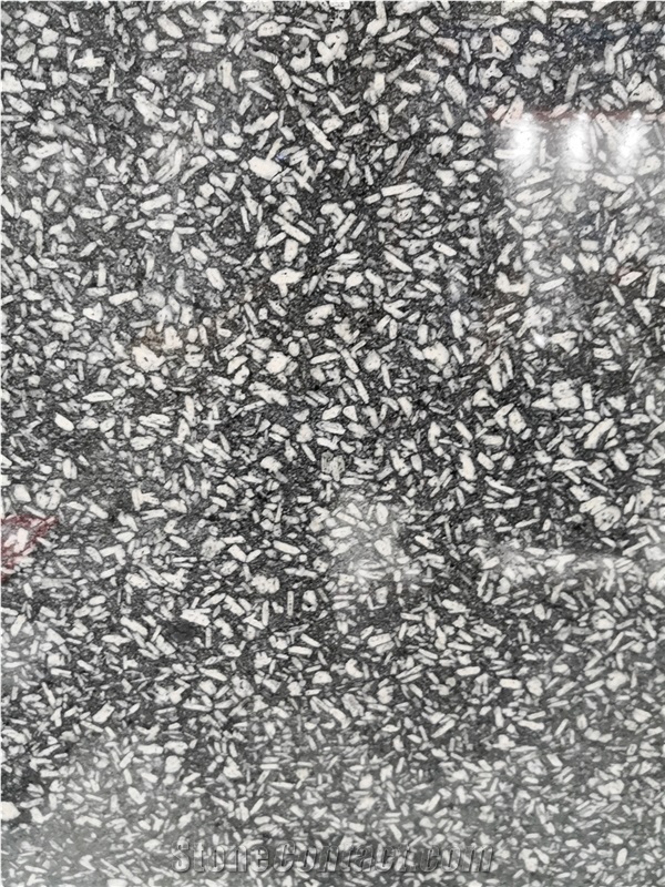 Cheap Black Granite with White Spots Tiles Price from China