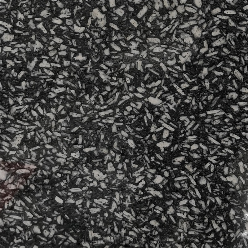 China Ice Snow Black Granite Slab Tile Price