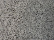 Snow White Granite Slabs, India White Granite
