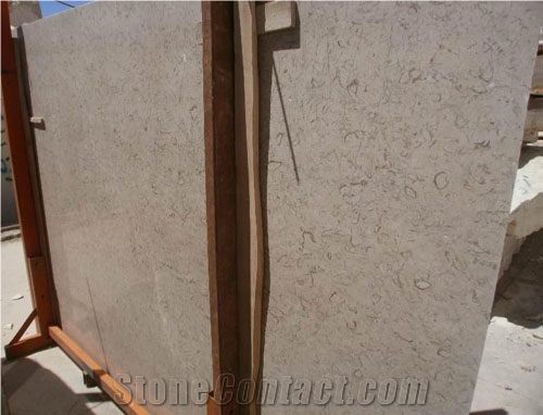 Grey Fossil Marble Slabs