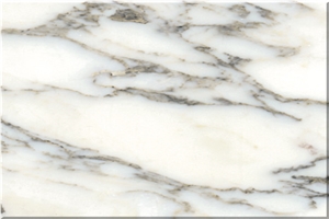 Arabescato Corchia Marble Slabs