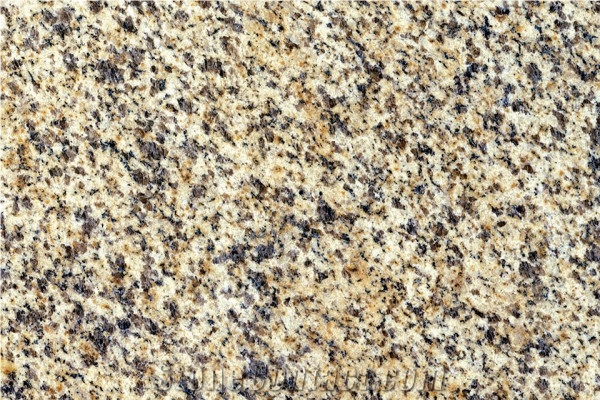 Giallo Cecilia Granite Slabs