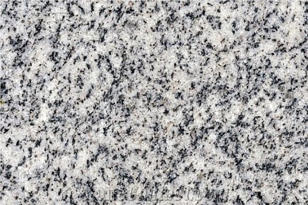 Neicuo White Granite Slabs