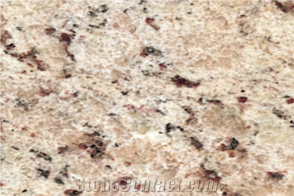 White Rose Granite Slabs