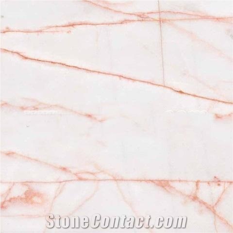 Arachnia Marble White Marble Red Line Marble
