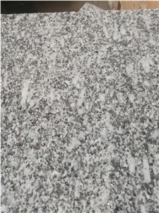 China Grey Granite Coral White