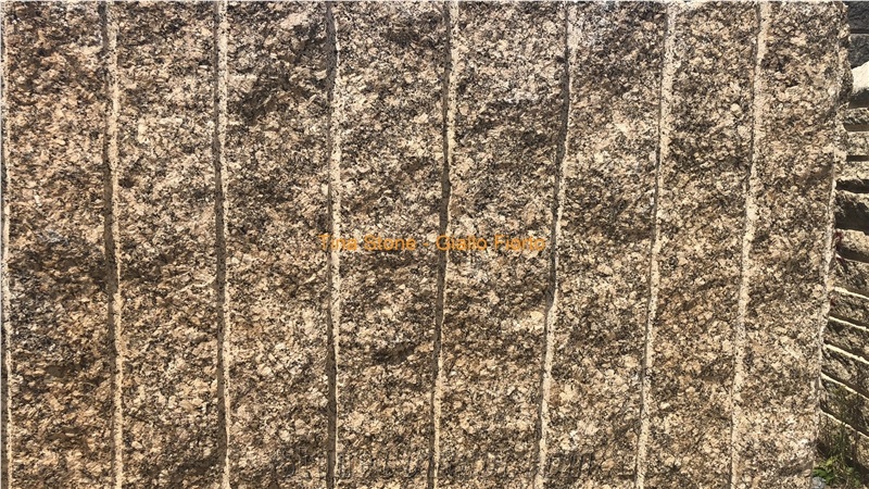Giallo Ornamental Golden Granite Tiles Slabs Floor