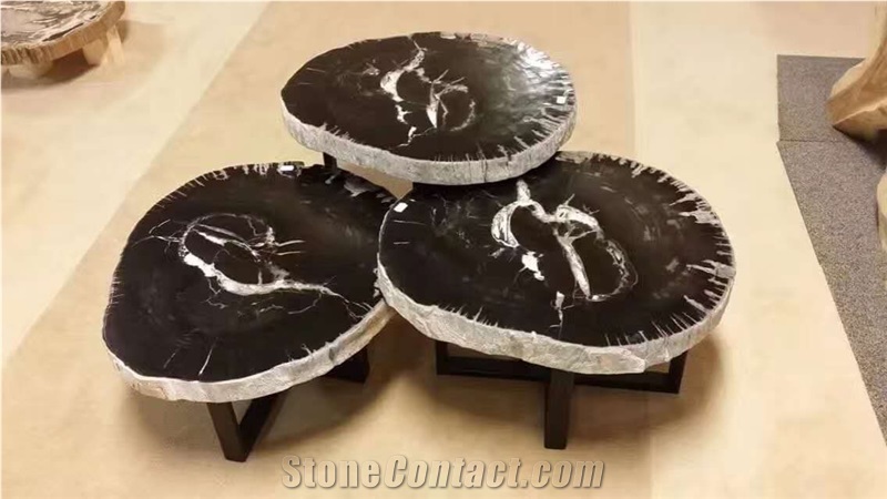 Black Silicified Wood Precious Stone Table