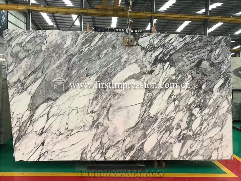 Italy Arabescato White Marble Slabs for Walling