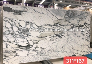 Italy Arabescato White Marble Slabs for Walling